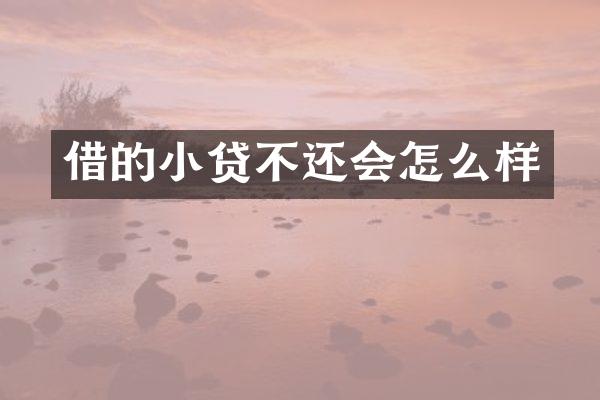 借的小贷不还会怎么样