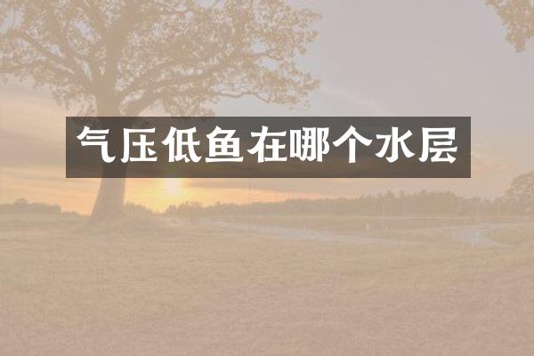 气压低鱼在哪个水层