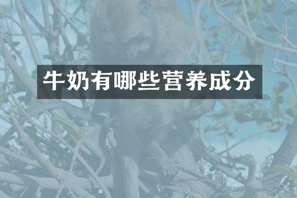 牛奶有哪些营养成分