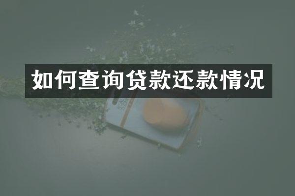 如何查询贷款还款情况