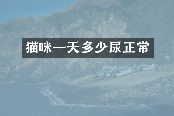 猫咪一天多少尿正常