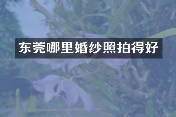 东莞哪里婚纱照拍得好