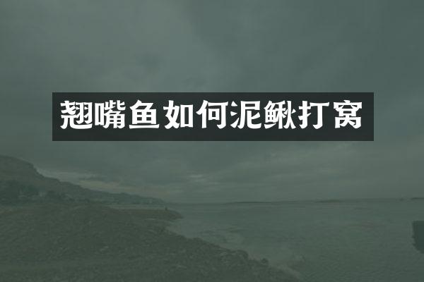 翘嘴鱼如何泥鳅打窝