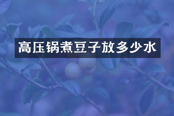 高压锅煮豆子放多少水