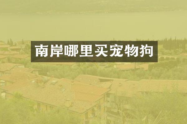 南岸哪里买宠物狗