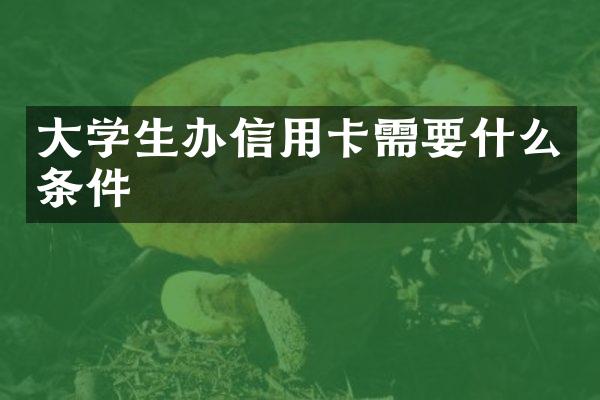 大学生办信用卡需要什么条件