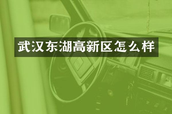 武汉东湖高新区怎么样