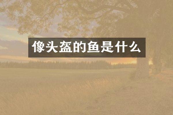 像头盔的鱼是什么