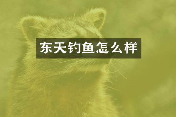 东天钓鱼怎么样