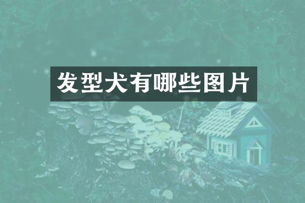 发型犬有哪些图片