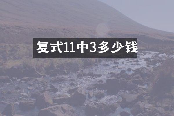 复式11中3多少钱