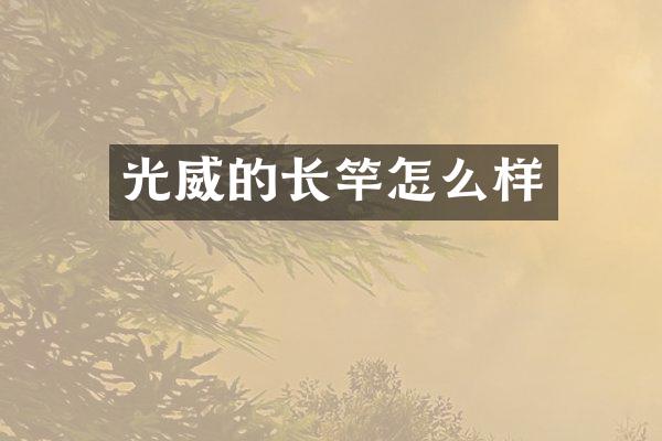 光威的长竿怎么样