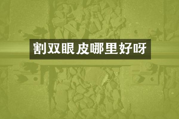 割双眼皮哪里好呀