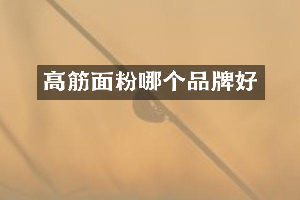 高筋面粉哪个品牌好