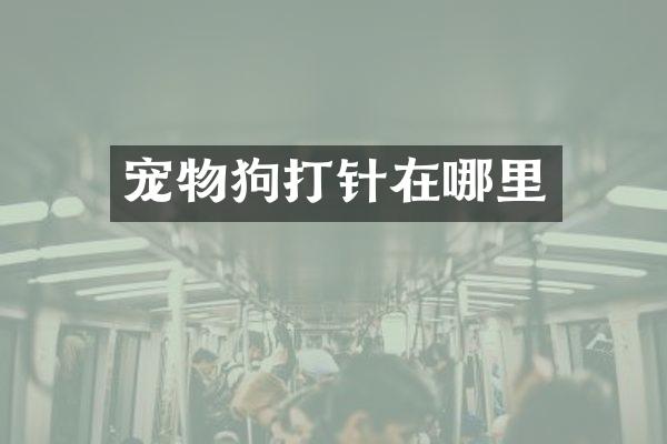 宠物狗打针在哪里