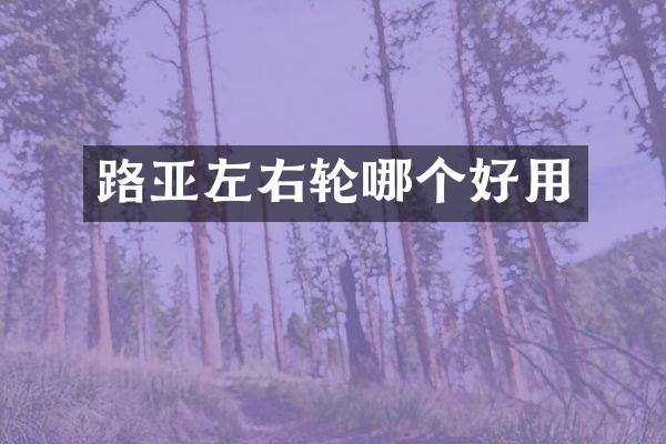 路亚左右轮哪个好用