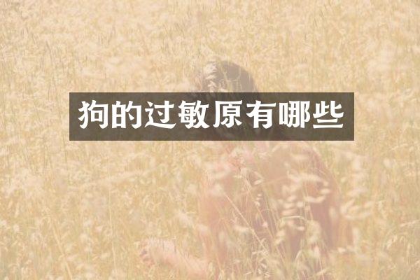 狗的过敏原有哪些