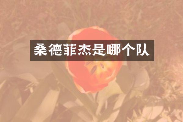 桑德菲杰是哪个队