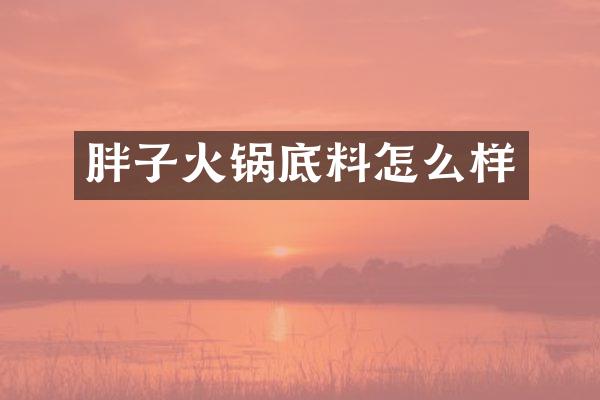 胖子火锅底料怎么样