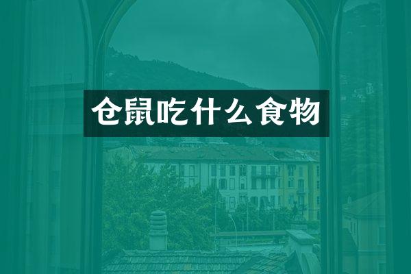 仓鼠吃什么食物