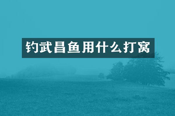 钓武昌鱼用什么打窝