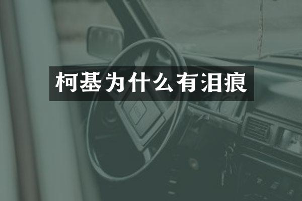 柯基为什么有泪痕