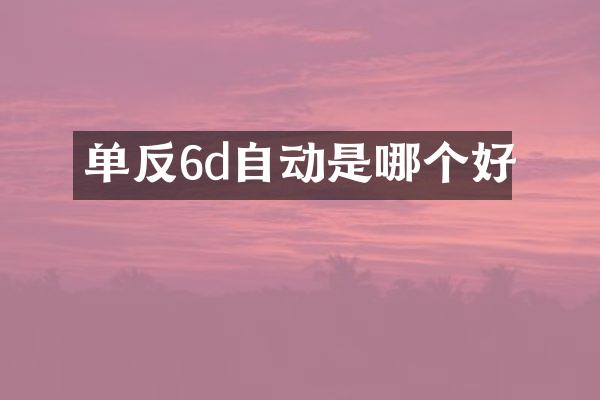 单反6d自动是哪个好