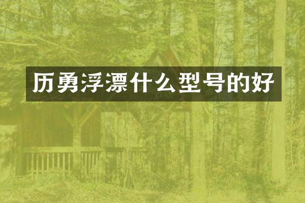 历勇浮漂什么型号的好