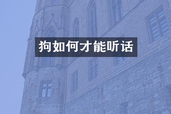 狗如何才能听话