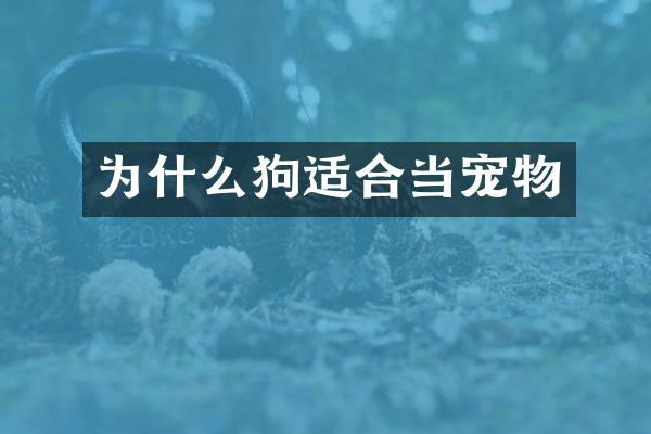 为什么狗适合当宠物