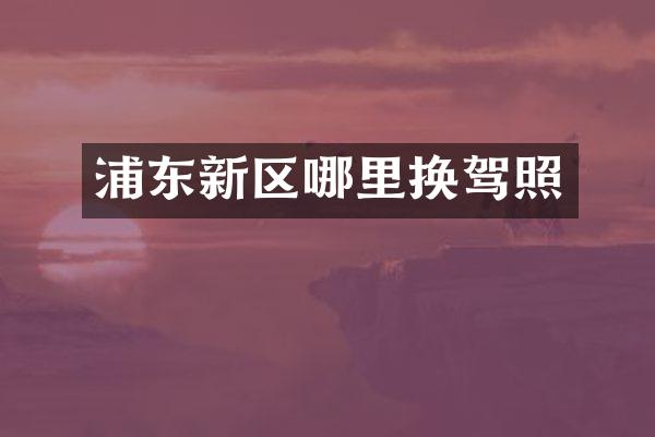 浦东新区哪里换驾照
