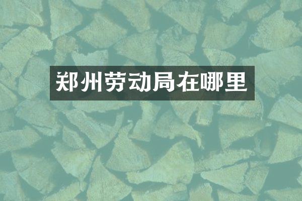 郑州劳动局在哪里