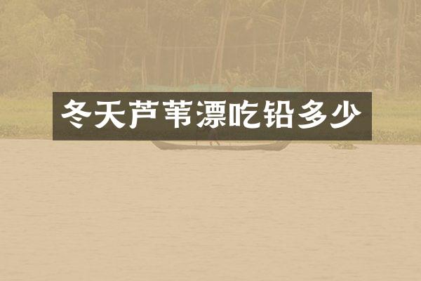 冬天芦苇漂吃铅多少