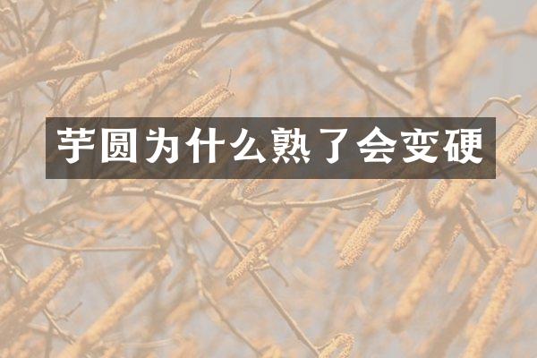 芋圆为什么熟了会变硬