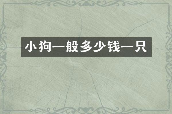 小狗一般多少钱一只