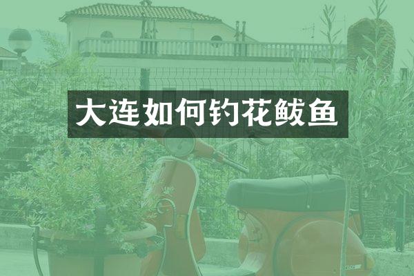 大连如何钓花鲅鱼