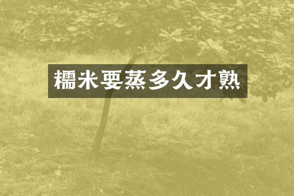 糯米要蒸多久才熟