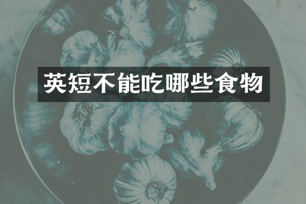 英短不能吃哪些食物