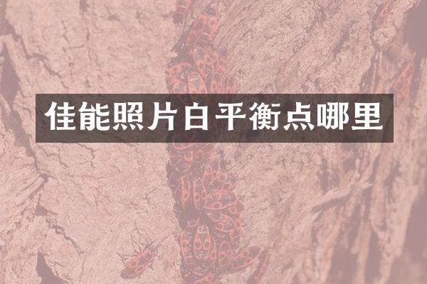 佳能照片白平衡点哪里