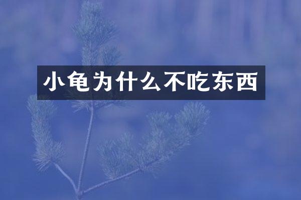 小龟为什么不吃东西