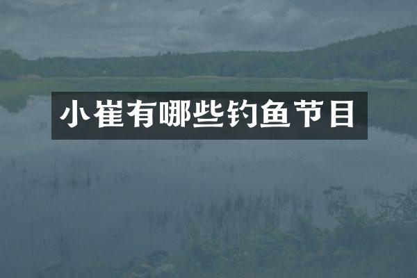 小崔有哪些钓鱼节目