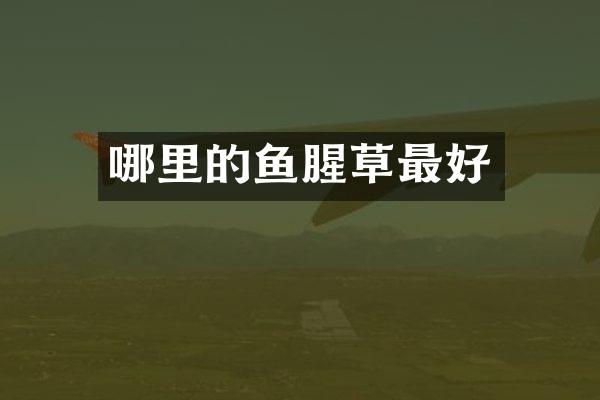 哪里的鱼腥草最好