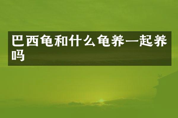 巴西龟和什么龟养一起养吗