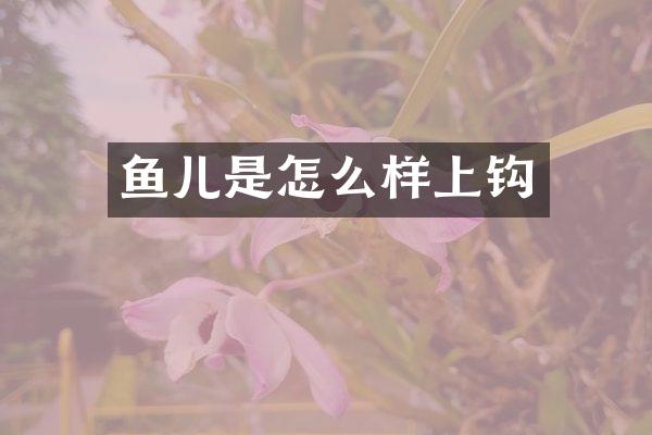 鱼儿是怎么样上钩