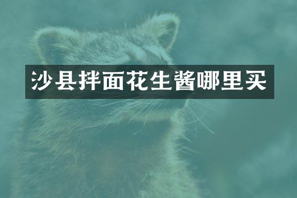 沙县拌面花生酱哪里买