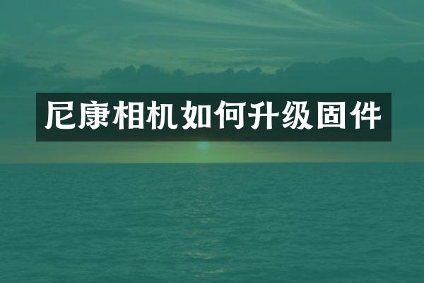 尼康相机如何升级固件