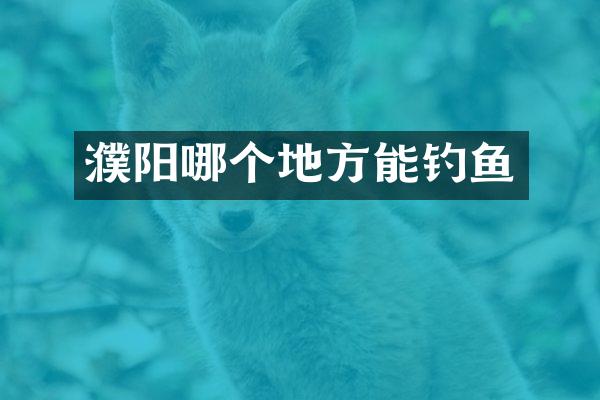 濮阳哪个地方能钓鱼