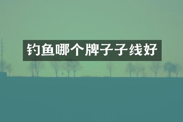 钓鱼哪个牌子子线好