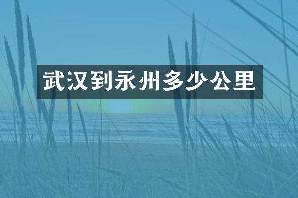 武汉到永州多少公里