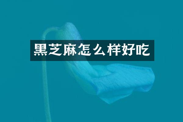 黑芝麻怎么样好吃